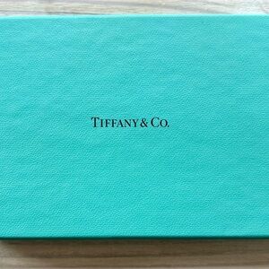 Tiffany & Co. Leather Case